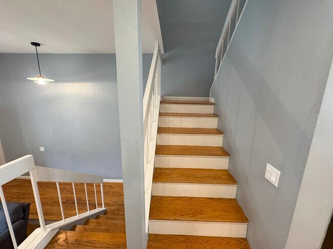 Building Photo - Stunning house in the heart of La Jolla Cl...