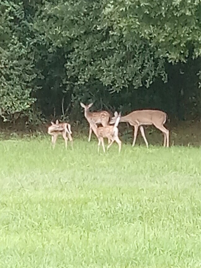 Building Photo - 15910 Hartman Rd