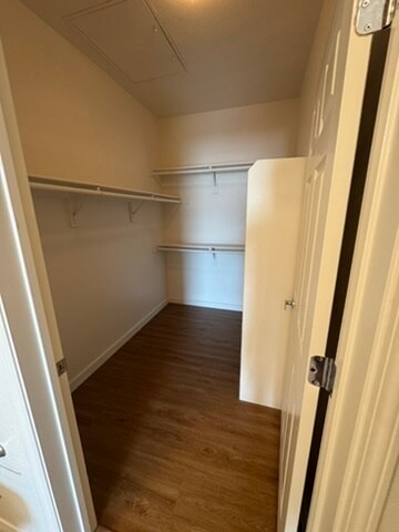 Master Walk In Closet - 8777 West Maule Avenue