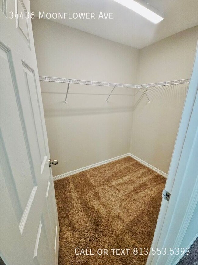 Building Photo - 34436 Moonflower Ave