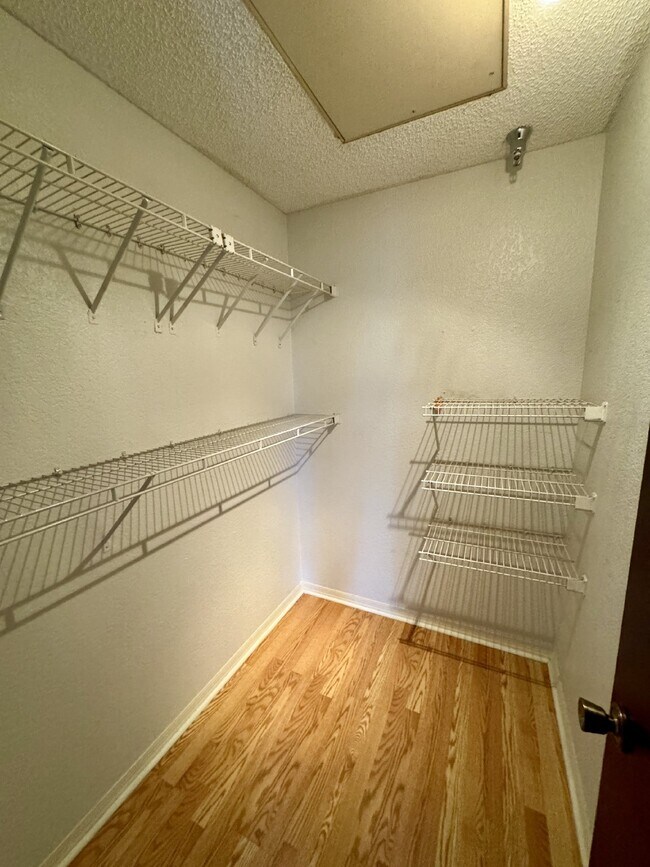 Building Photo - "Charming 1-Bedroom Retreat in St. Petersburg - Modern Comfort with 729 Sq Ft of Cozy Living!"