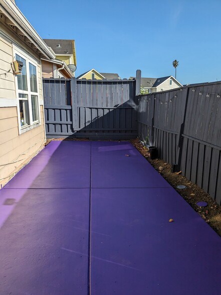 Backyard - 2456 Palmvilla Ct