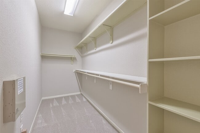 Building Photo - 15303 Paxton Landing Ln