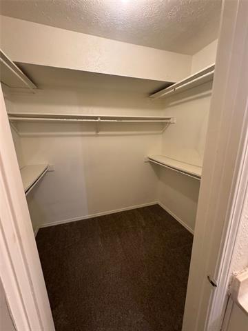 Building Photo - 2905 Woodlark Dr