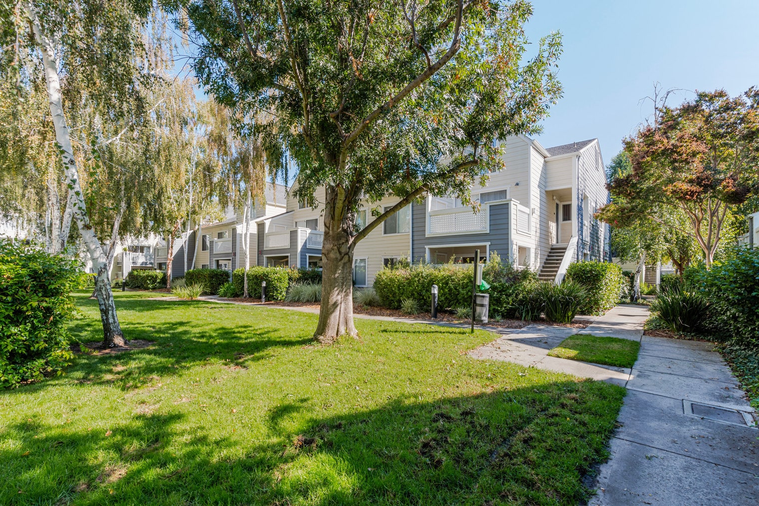 Building Photo - 900 Pepper Tree Ln