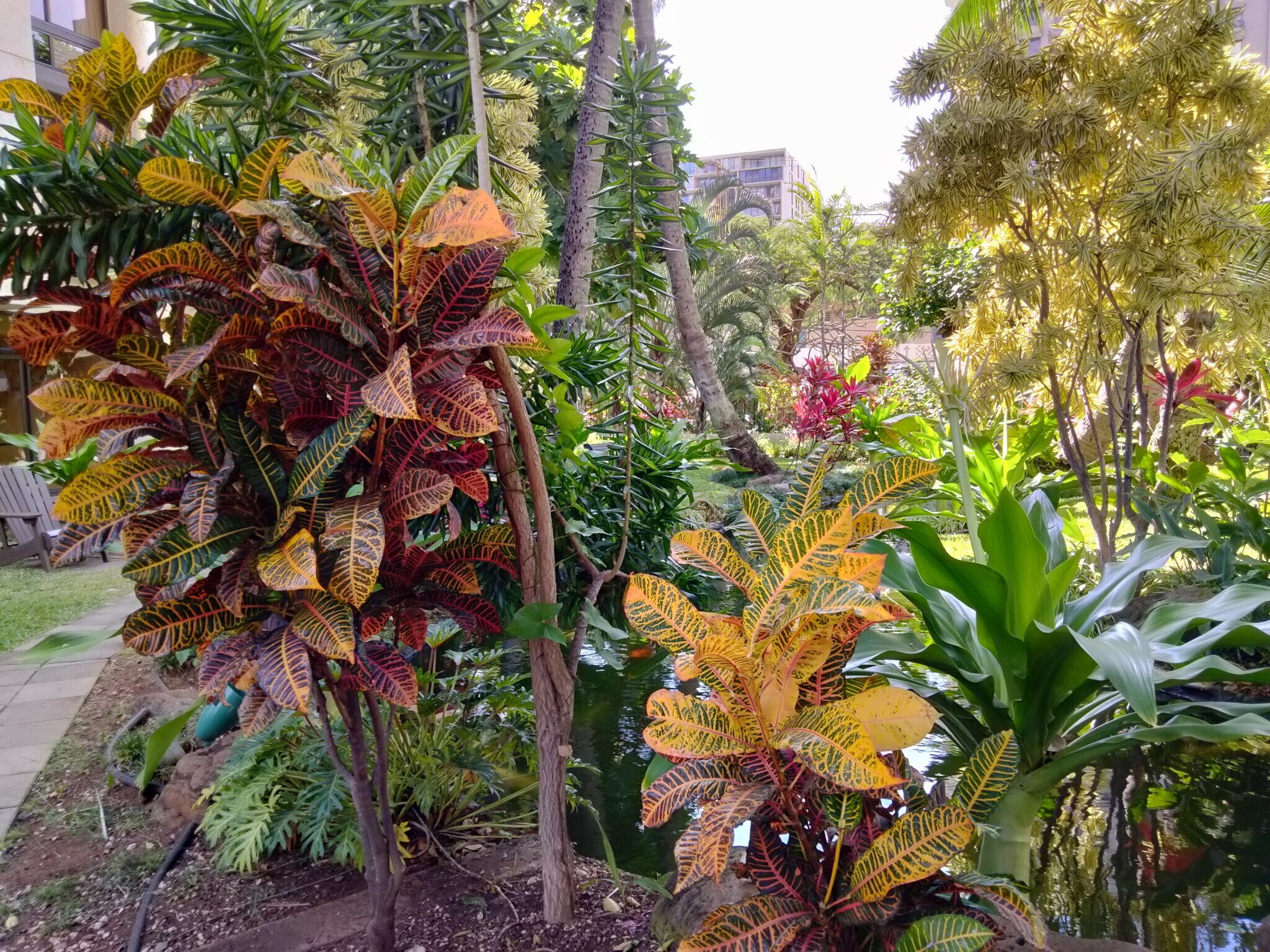 Gardens 3 - 300 Wai Nani Way