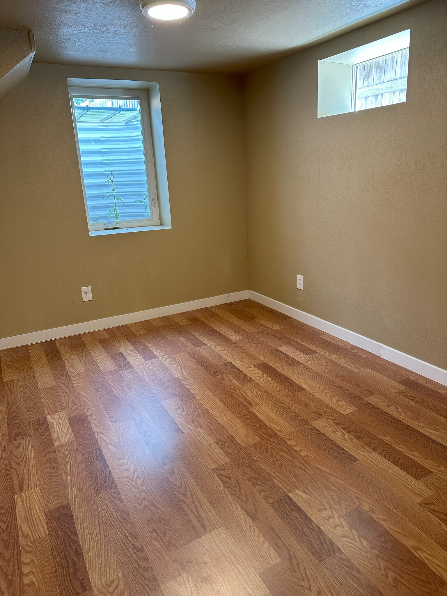 Den or Living Space #2 - 509 N Institute St