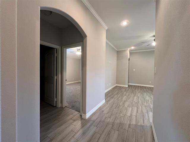 Building Photo - 148 Frank St