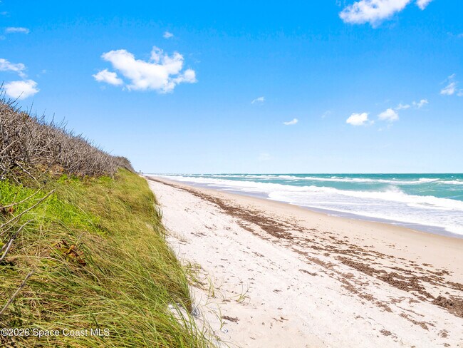 Building Photo - 4995 S Hwy A1A