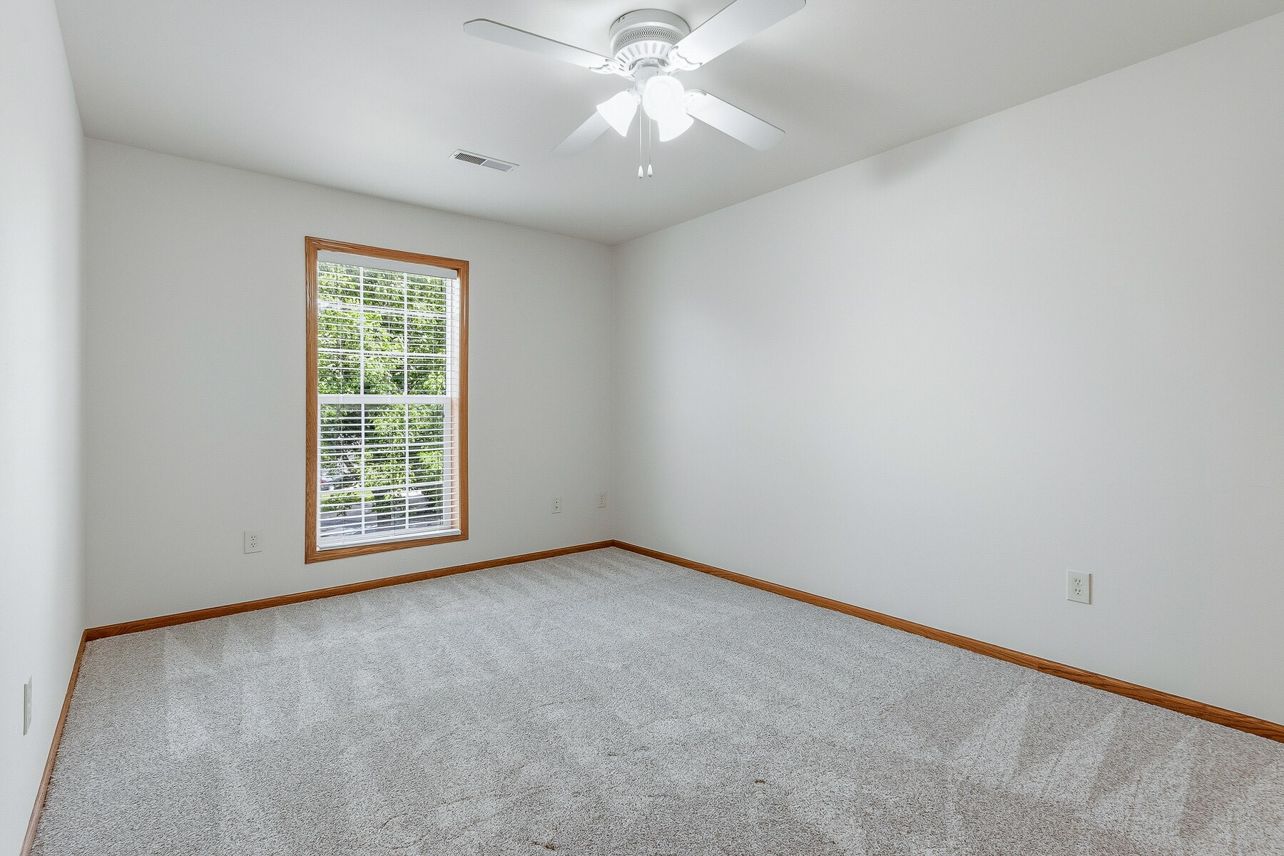 Building Photo - 3509 Maple Grove Dr