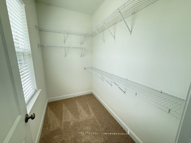 Building Photo - 3 Bedroom 2.5 Bath House in Hawthorne Land...