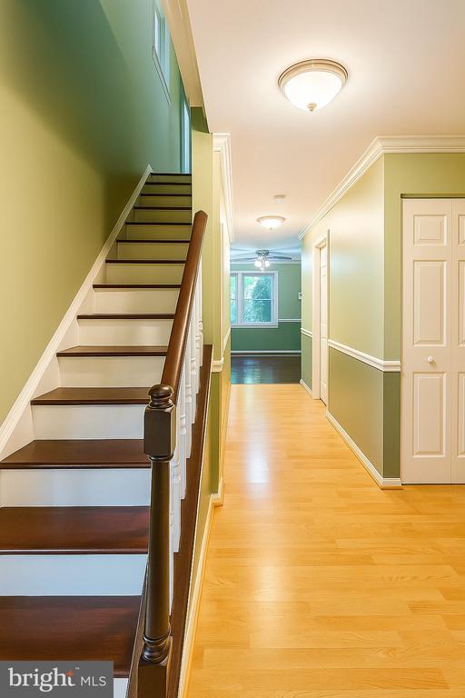 Building Photo - 8207 Stationhouse Ct
