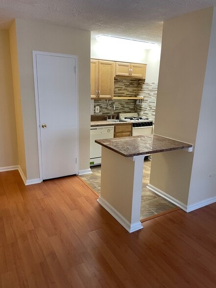 Updated Kitchen - 2101 Chestnut