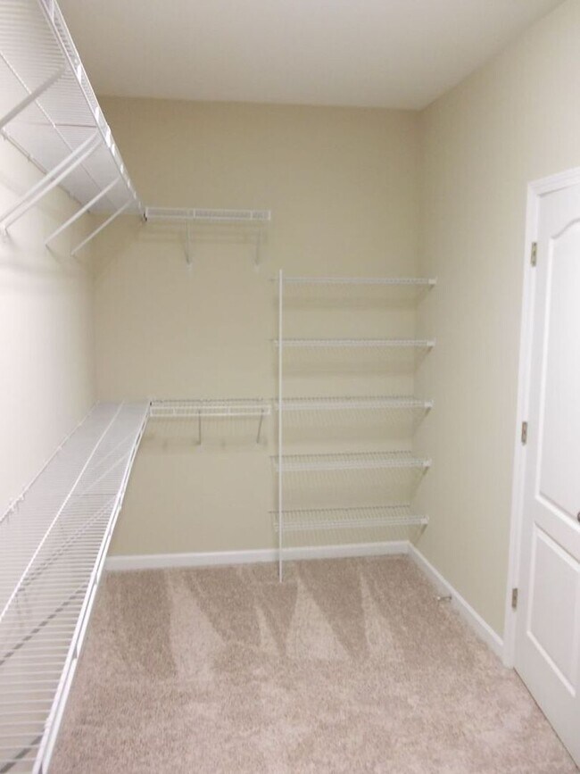 Building Photo - Spacious 4 Bedroom Home in Cox Mill School...