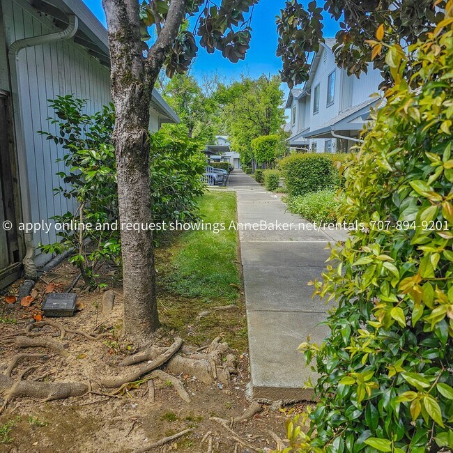 Building Photo - Exquisitely Updated Condo - Must See