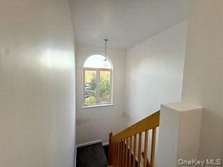 Building Photo - 3 Highview Ct