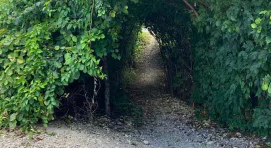 Private entrance to Rock Island Trail - 5601 N Humboldt Ave
