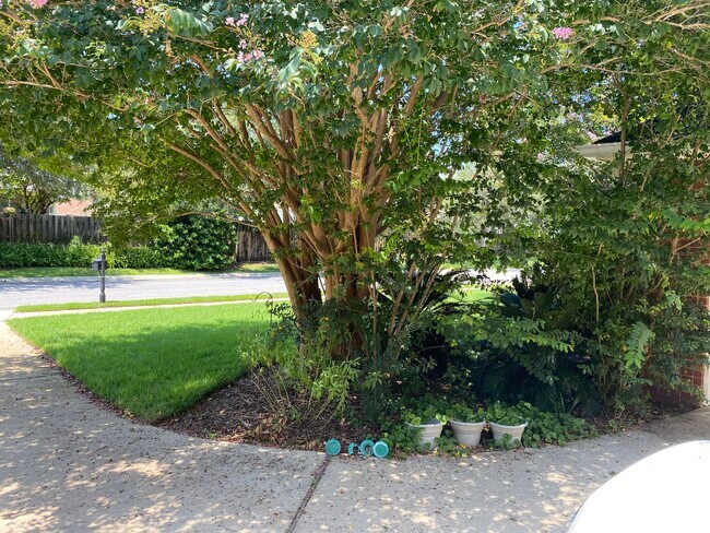 Building Photo - 9047 Orlando Ave