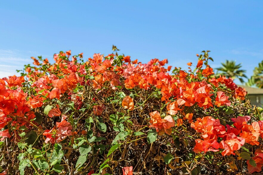 Building Photo - 3950 Kalai Waa St