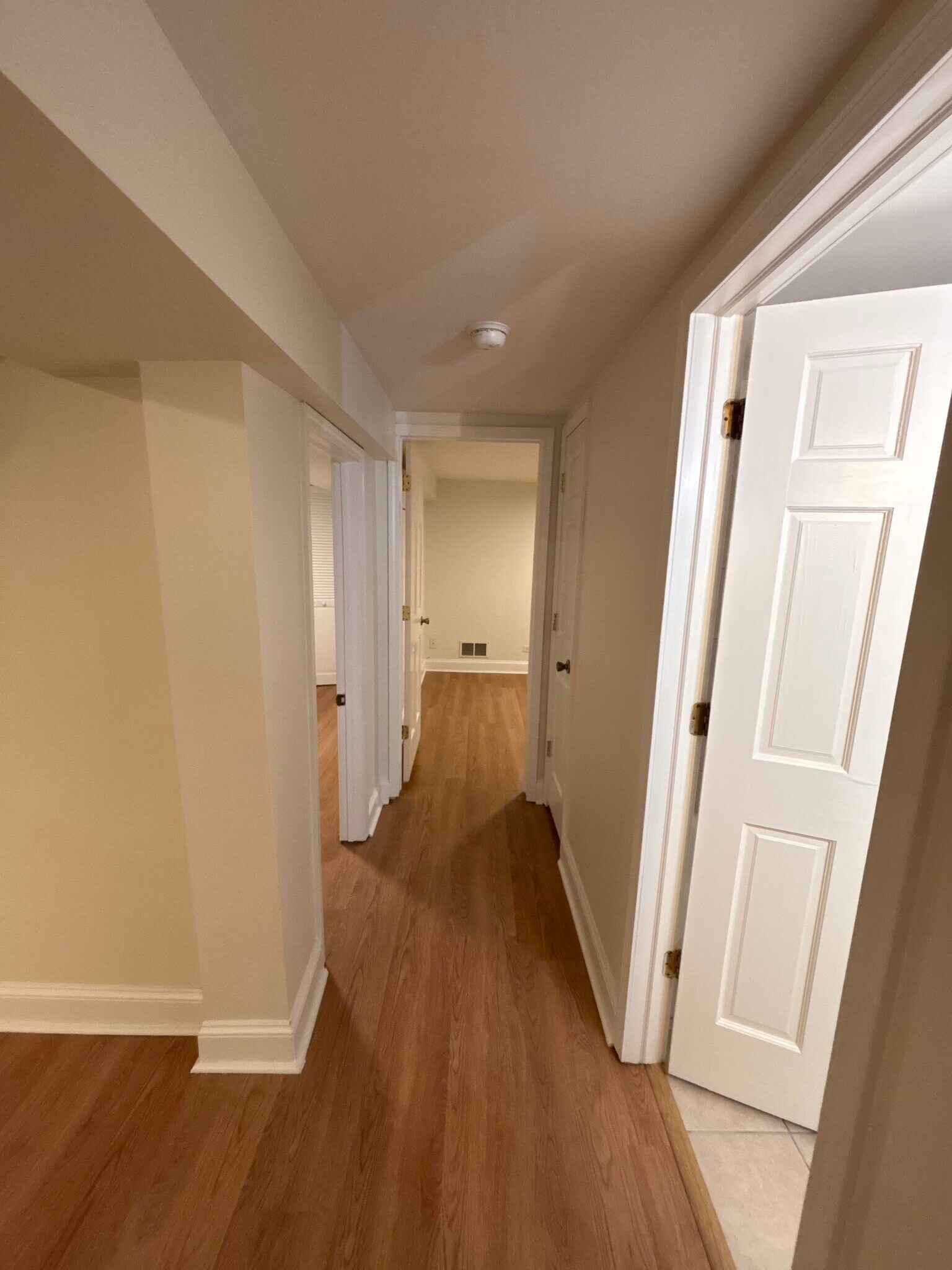 Lower level hallway to bath and bedrooms 3 and 4 - 2608 W Evergreen Ave