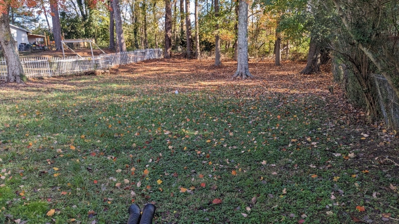 Building Photo - 26 Reeves St