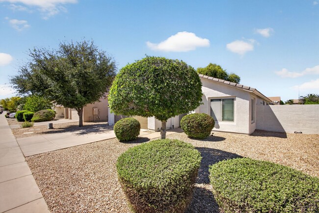 Building Photo - Updated House in Chandler Community