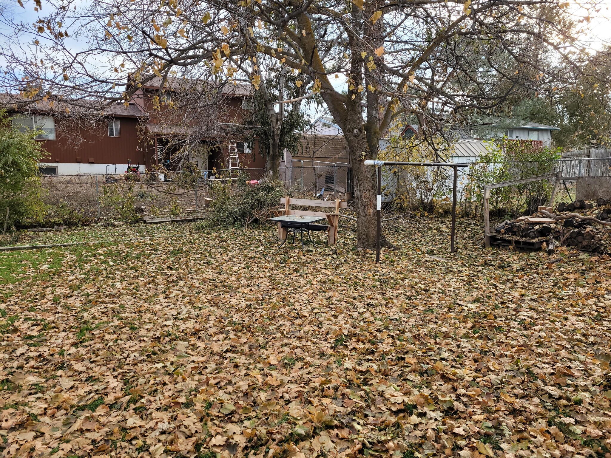 Backy yard from the carport looking back - 776 E 400 N