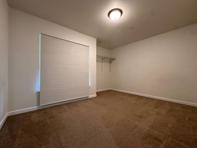 Building Photo - Large UW Townhome available 9/1 for 2025-2...