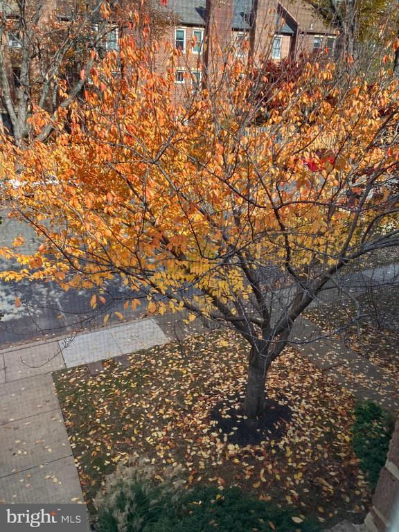 Building Photo - 10195 Valentino Dr