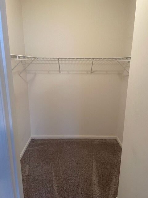 Building Photo - 850 Hidden Ridge Ct