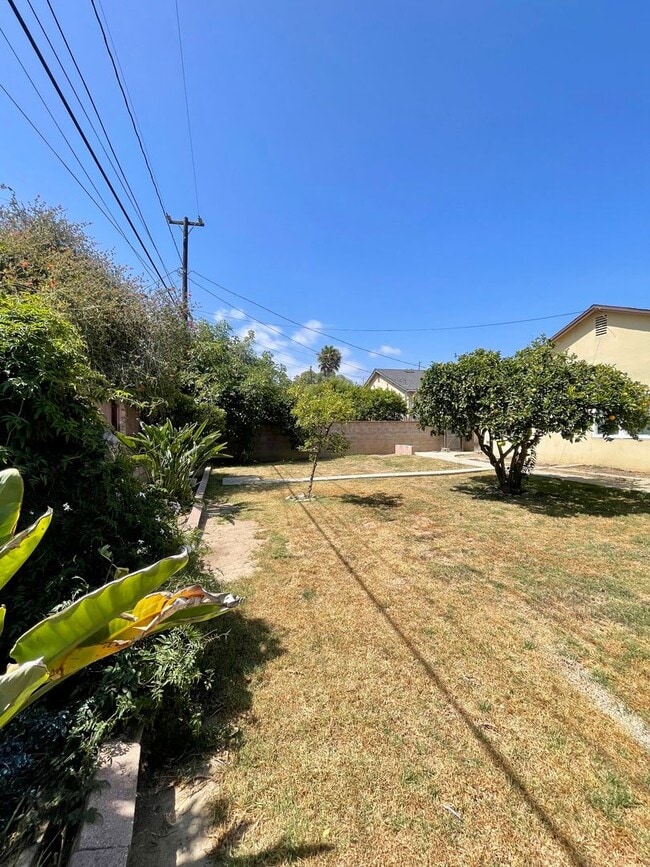 Building Photo - Updated 4-Bed 2-Bath | $4220 Mo | Large yard | Fruit Trees