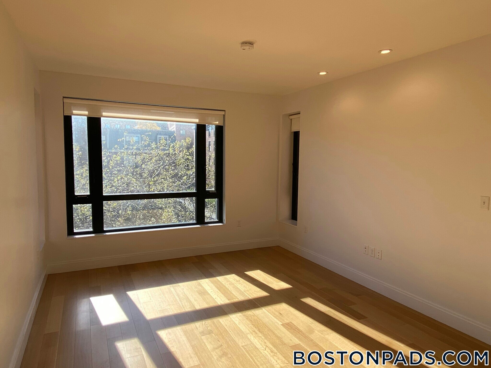 Building Photo - 150 Camden St