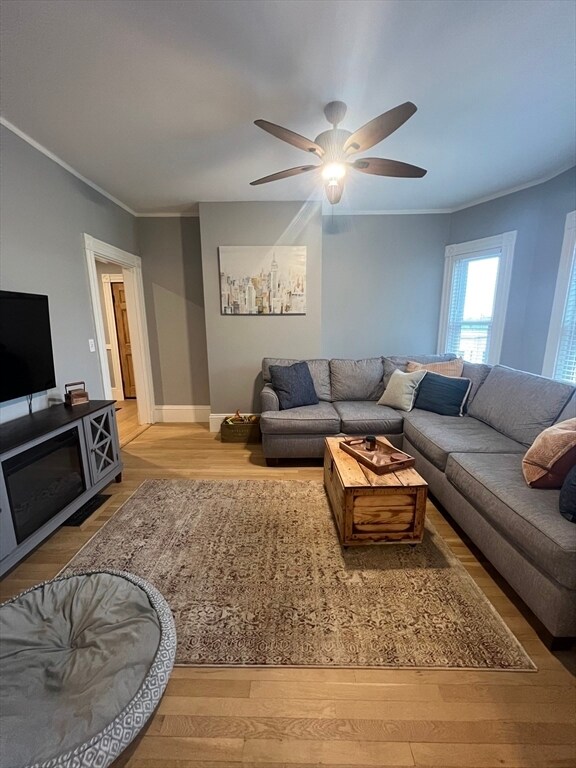 Building Photo - 43 Robinson St