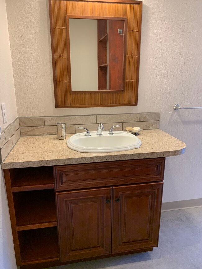 Bathroom - 304 W Illinois St