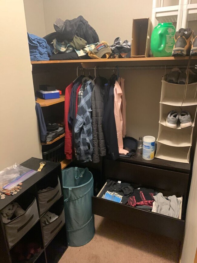 Building Photo - ***AUGUST 2027*** Lower Level 2 bedroom, 2 bath home with large yard (Great for large group!)