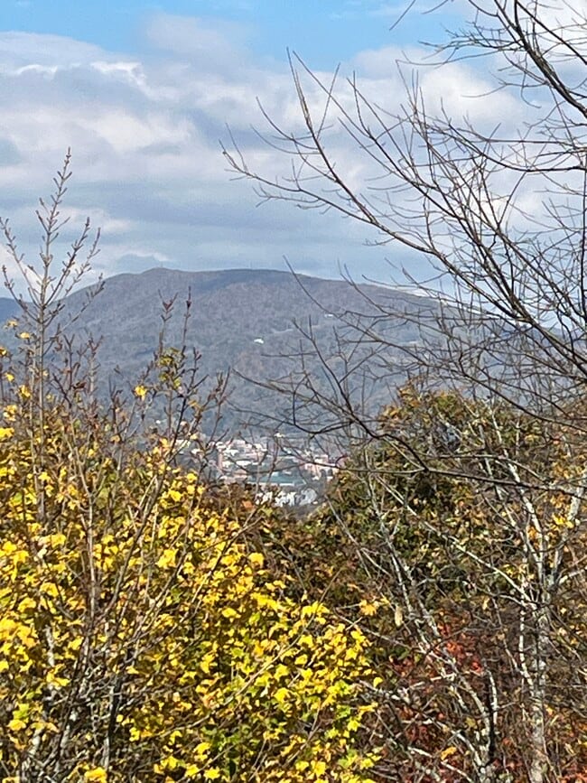 Building Photo - 630 Sorrento Dr