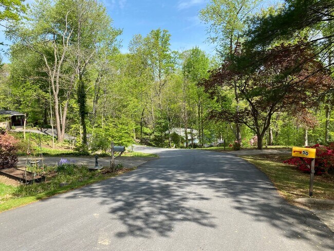 Building Photo - East AVL - Mid Century Modern Beauty in Bo...