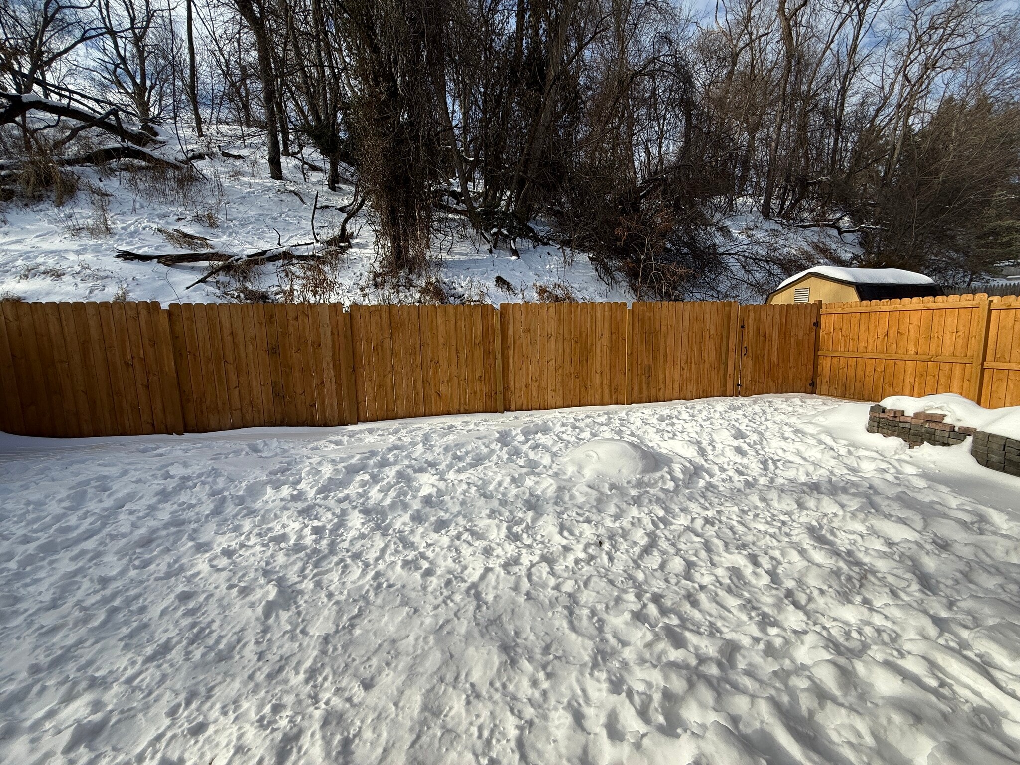 Building Photo - 156 Forest Hills Plz