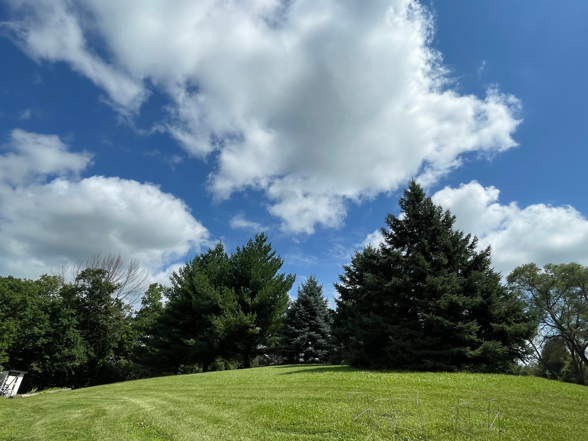 Building Photo - 13565 140th Ave