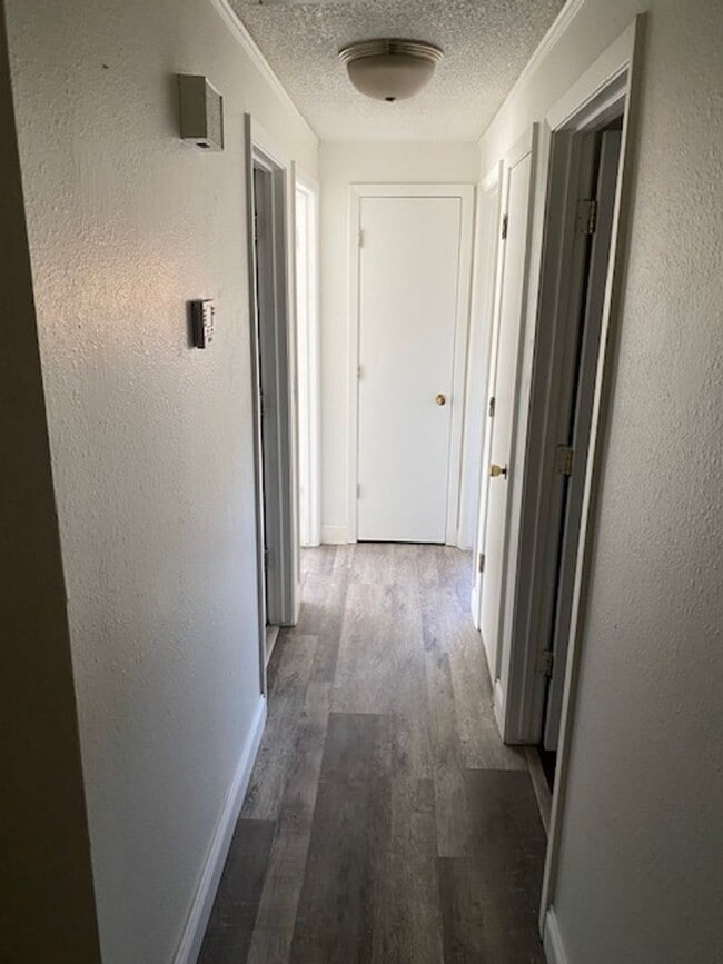 Building Photo - Spacious home on Large Lot