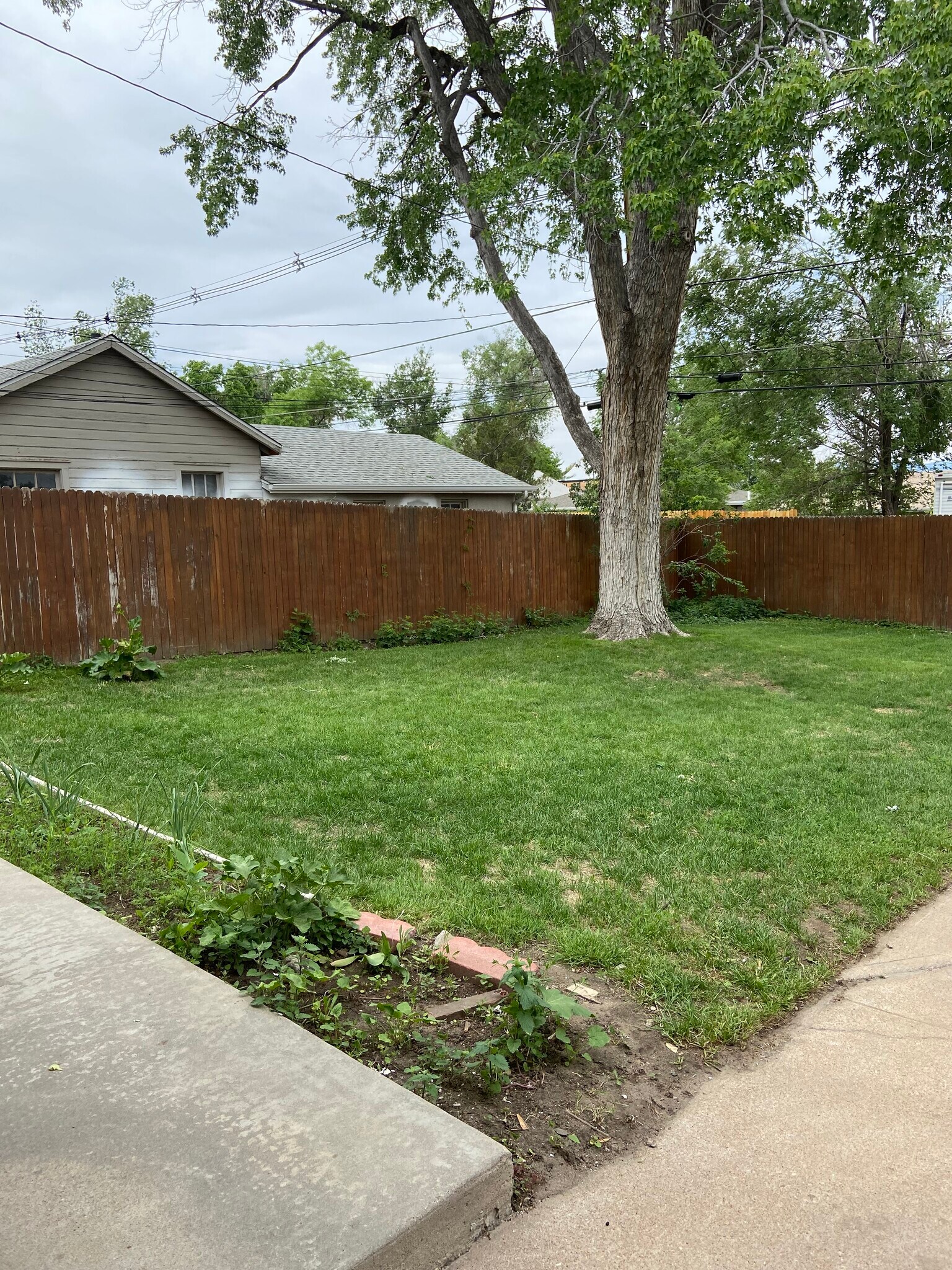 Yard Area - 3583 S Bannock St