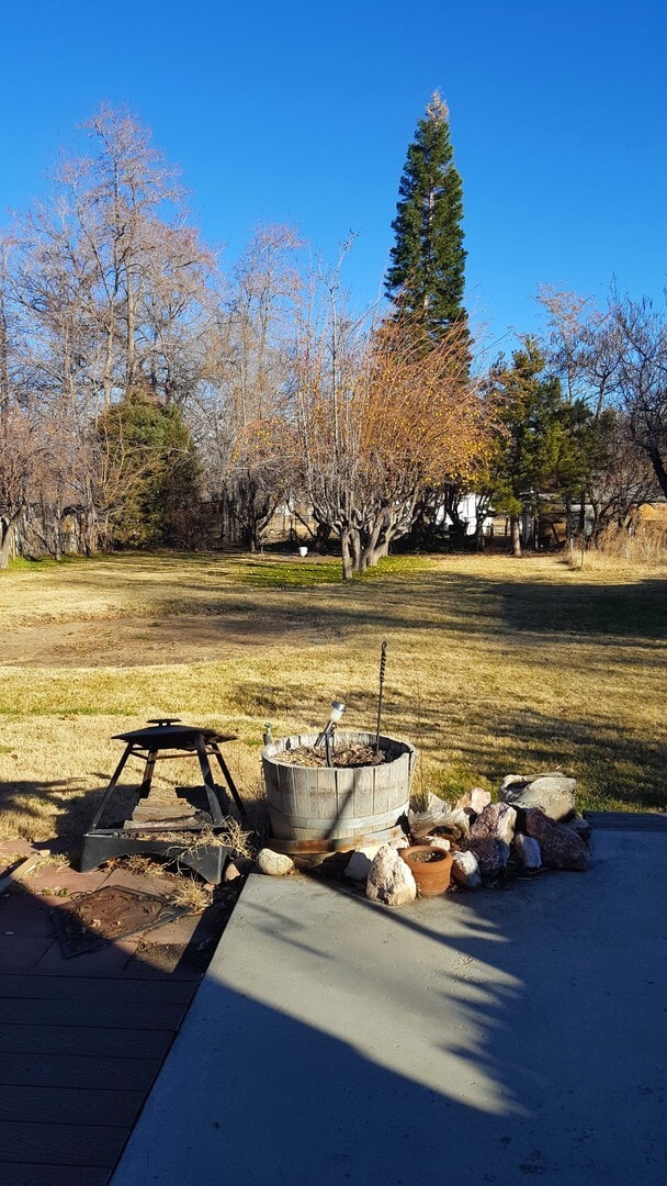 Building Photo - Three bedroom, 2 bath with high ceilings d...