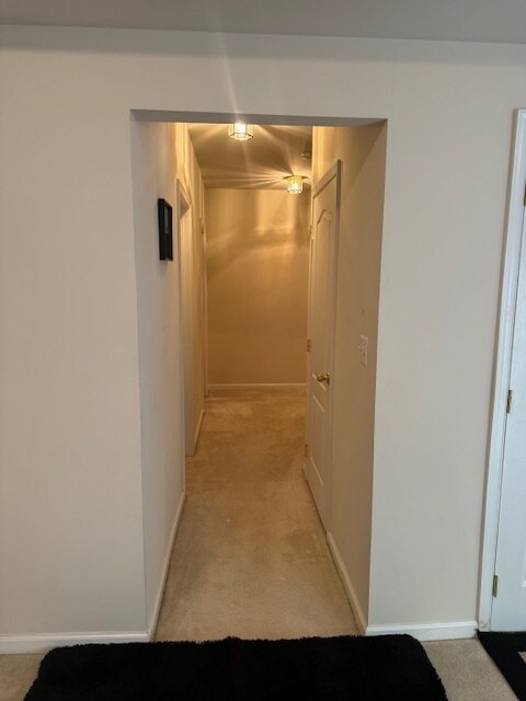 Hallway to Bath and 2nd BDRM - 15405 Stacys Ridge Ct