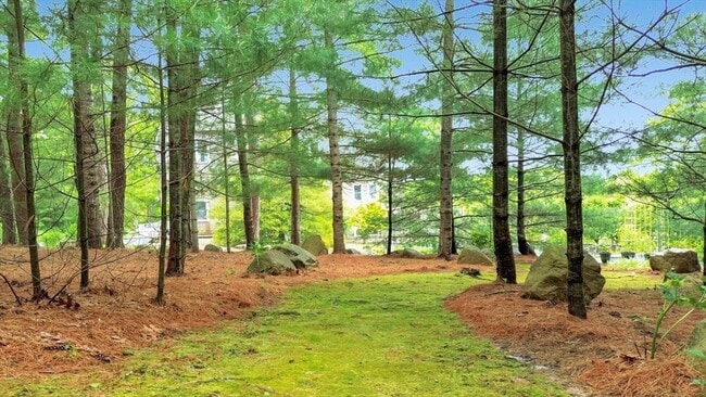 Building Photo - 17 Bourne Point Rd