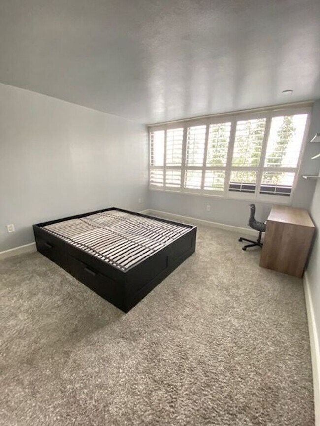 Building Photo - Newly Remodeled Downtown Stunner