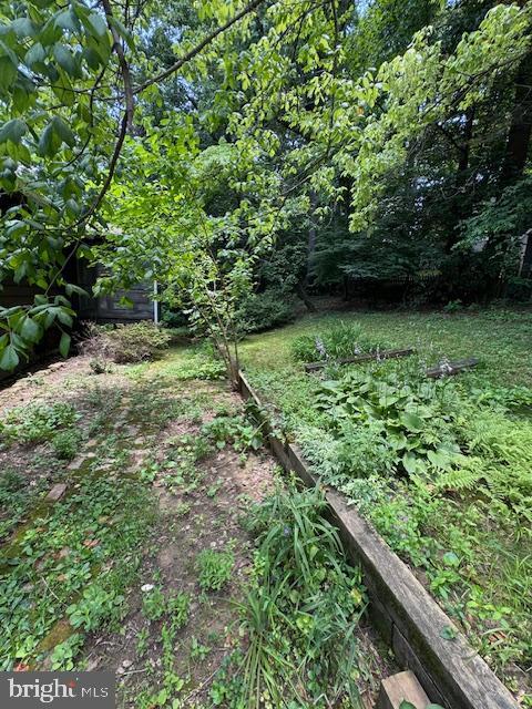 Building Photo - 6506 Callander Dr