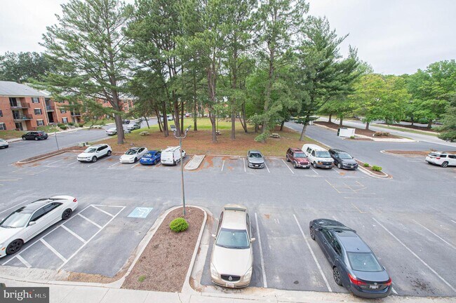 Building Photo - 810 College Ln