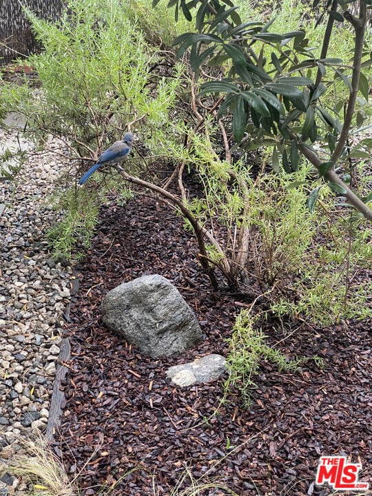 Building Photo - 6208 Hayes Ave