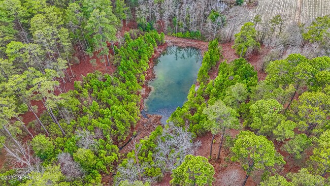 Building Photo - 309 Pinecrest Court Rd