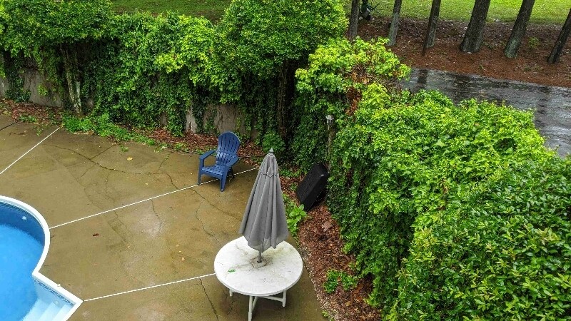 Building Photo - 5009 Emerald Dr